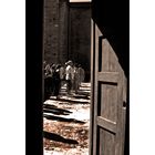 Sepia's door