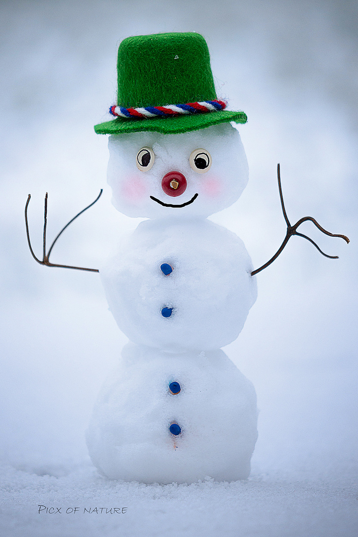 Seppel, the red nosed Snowman