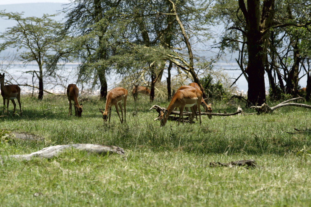 Sept 2007 Kenya-Tanzania