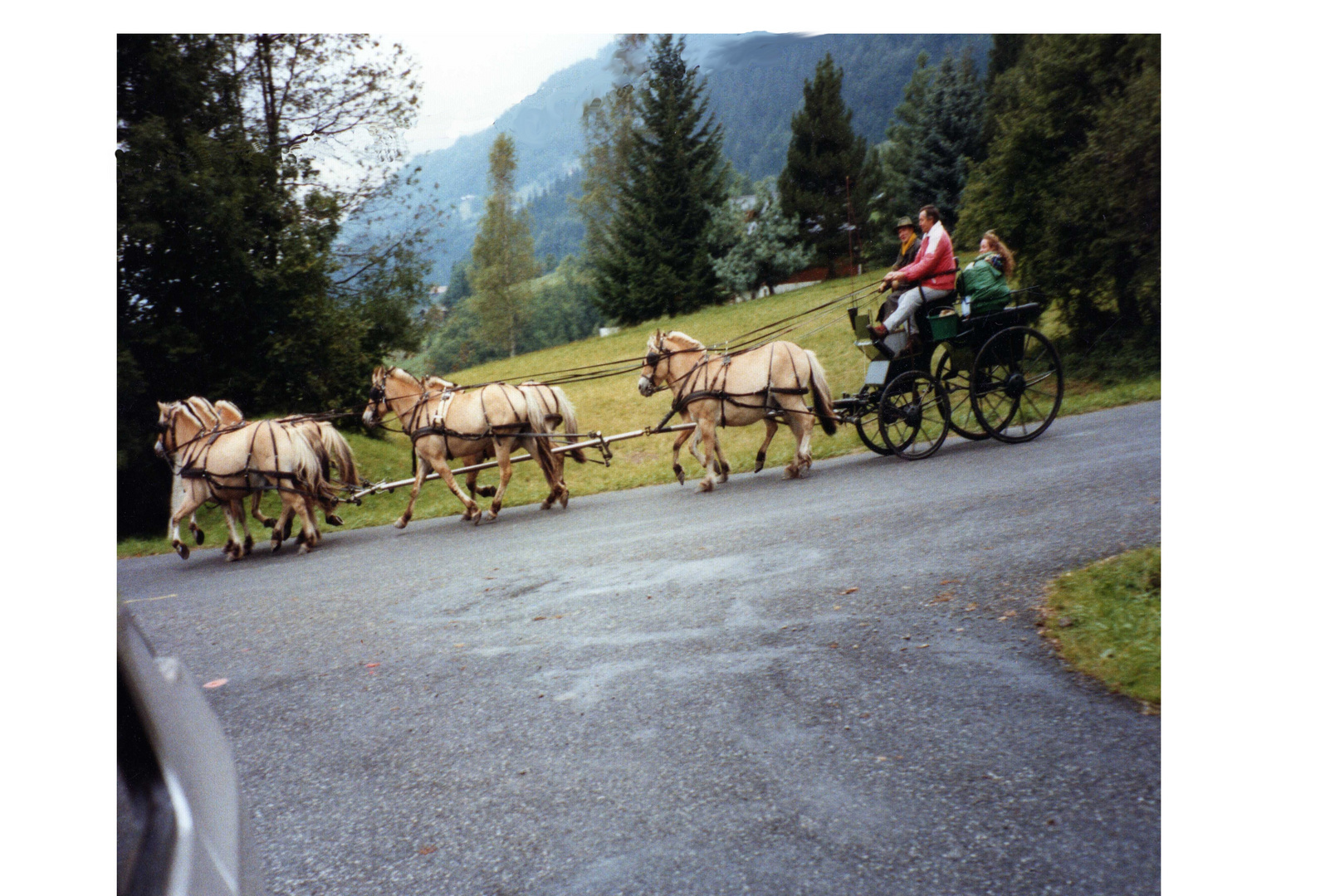 Sept chevaux écolos