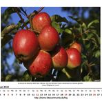 September 2010 - Erntezeit -