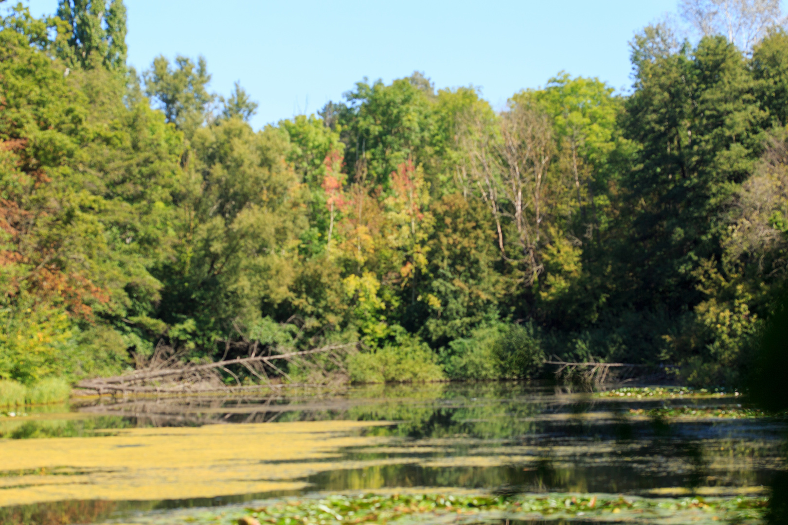 September am Zeuterner See