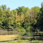 September am Zeuterner See