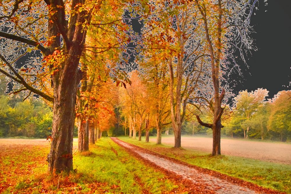 September Foto & Bild jahreszeiten, herbst, makros & natur Bilder auf