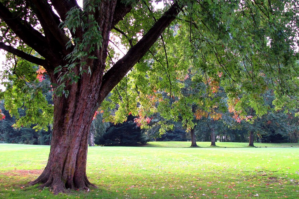 September - between Summer and Autumn