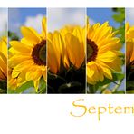 September-Farben