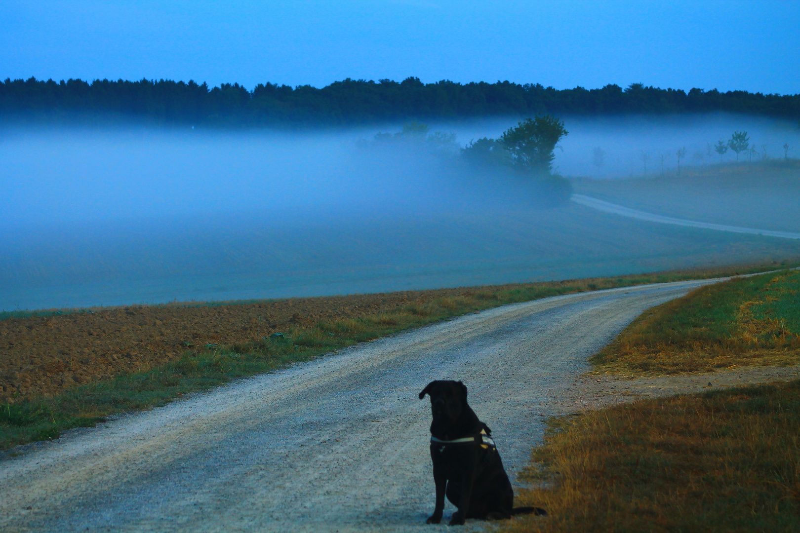 September Fog 