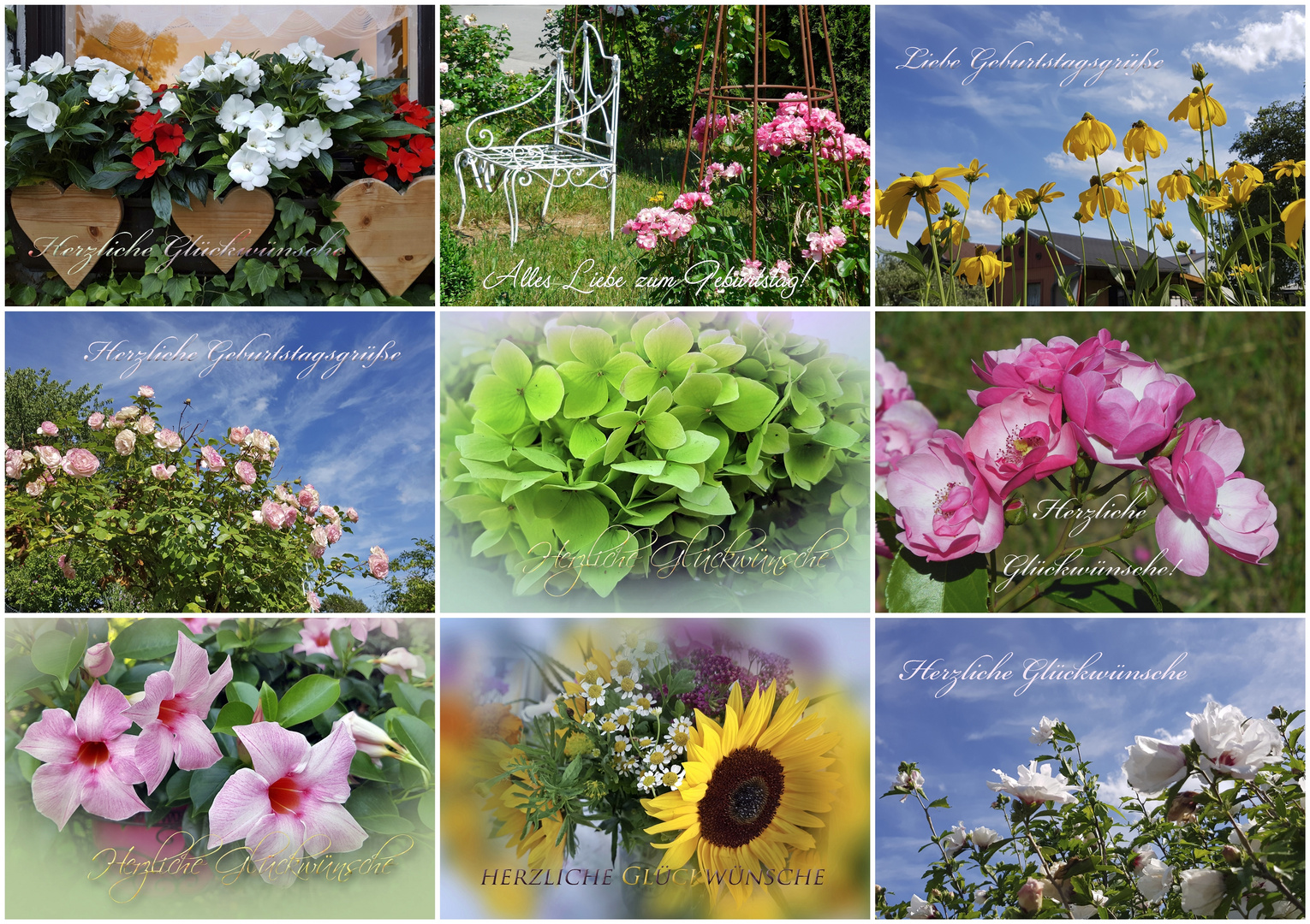 SeptemberGeburtstage Foto & Bild spezial, sommer, natur Bilder auf