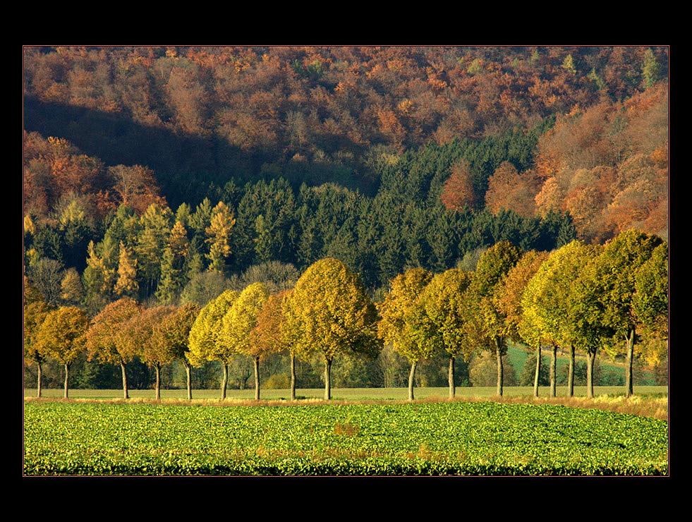 "September" im WESER BERGLAND- KALENDER 2012