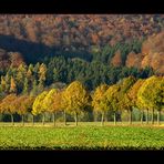 "September" im WESER BERGLAND- KALENDER 2012