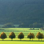 "September" im WESERBERGLAND-KALENDER 2017