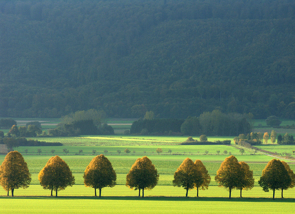 "September" im WESERBERGLAND-KALENDER 2017