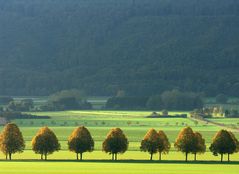 "September" im WESERBERGLAND-KALENDER 2017