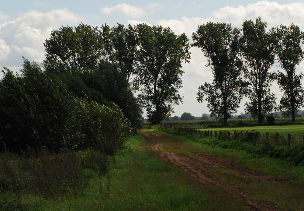 September in Norddeutschland