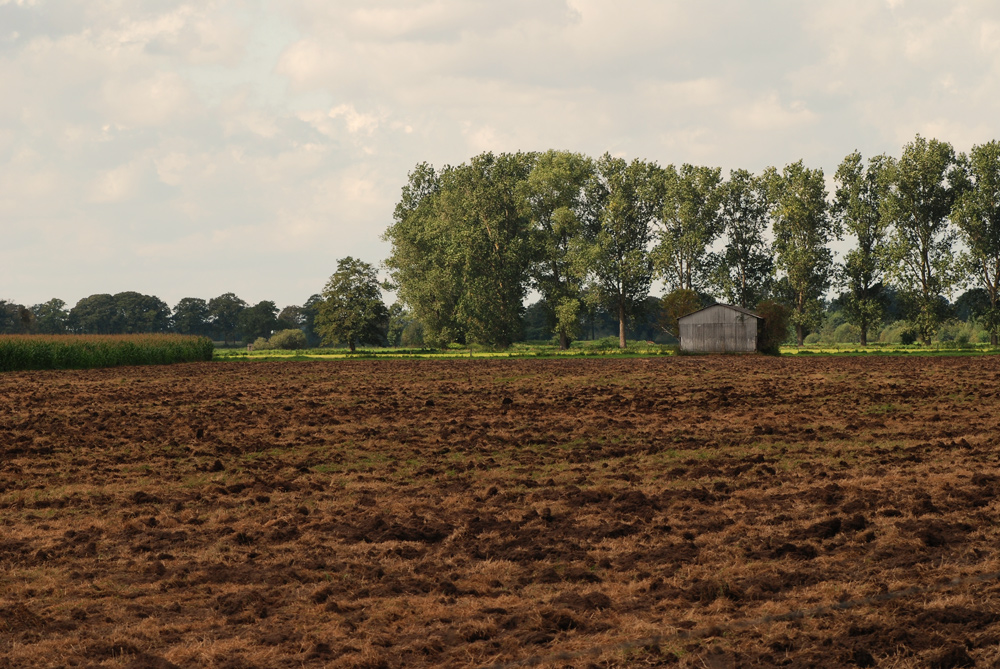 September in Norddeutschland III