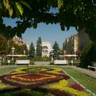 September in Timisoara