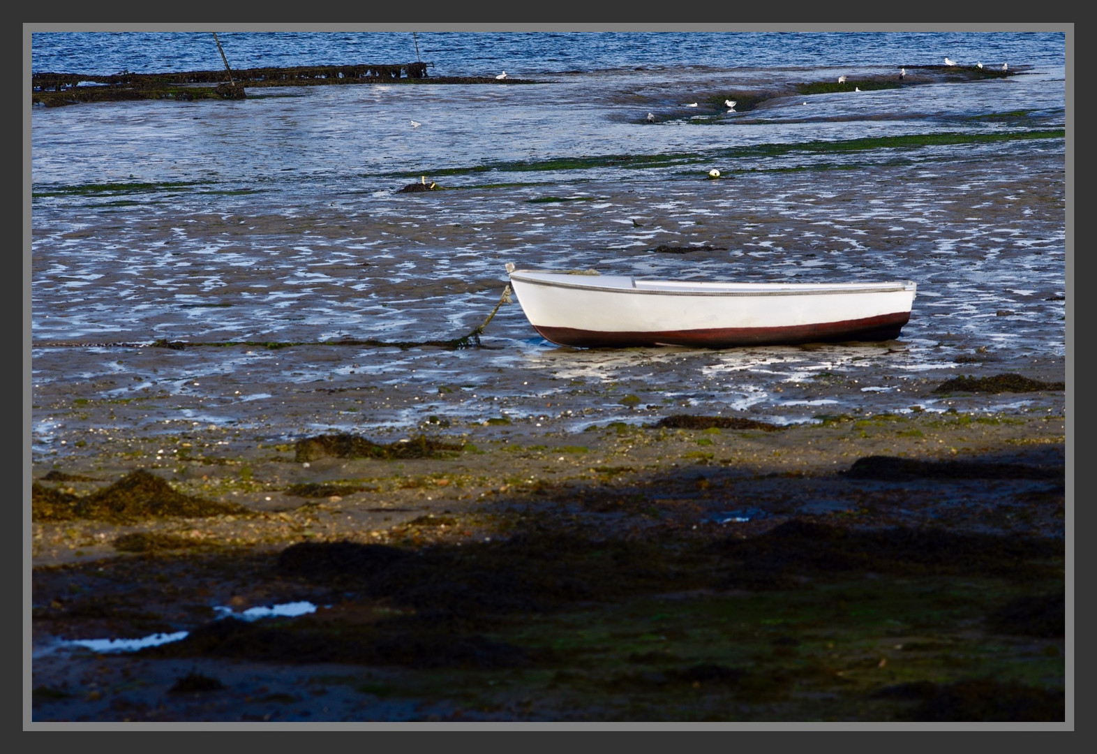 September light on Britany coast