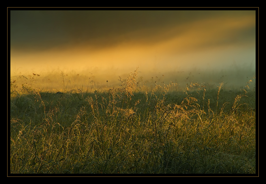 September - Morgennebel...