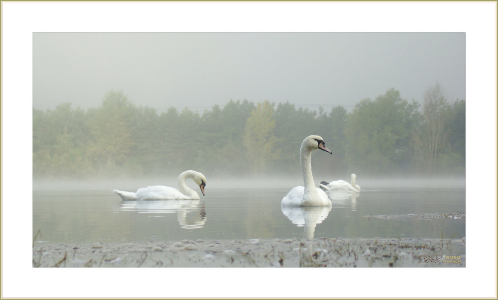 September - Nebel (7:22)