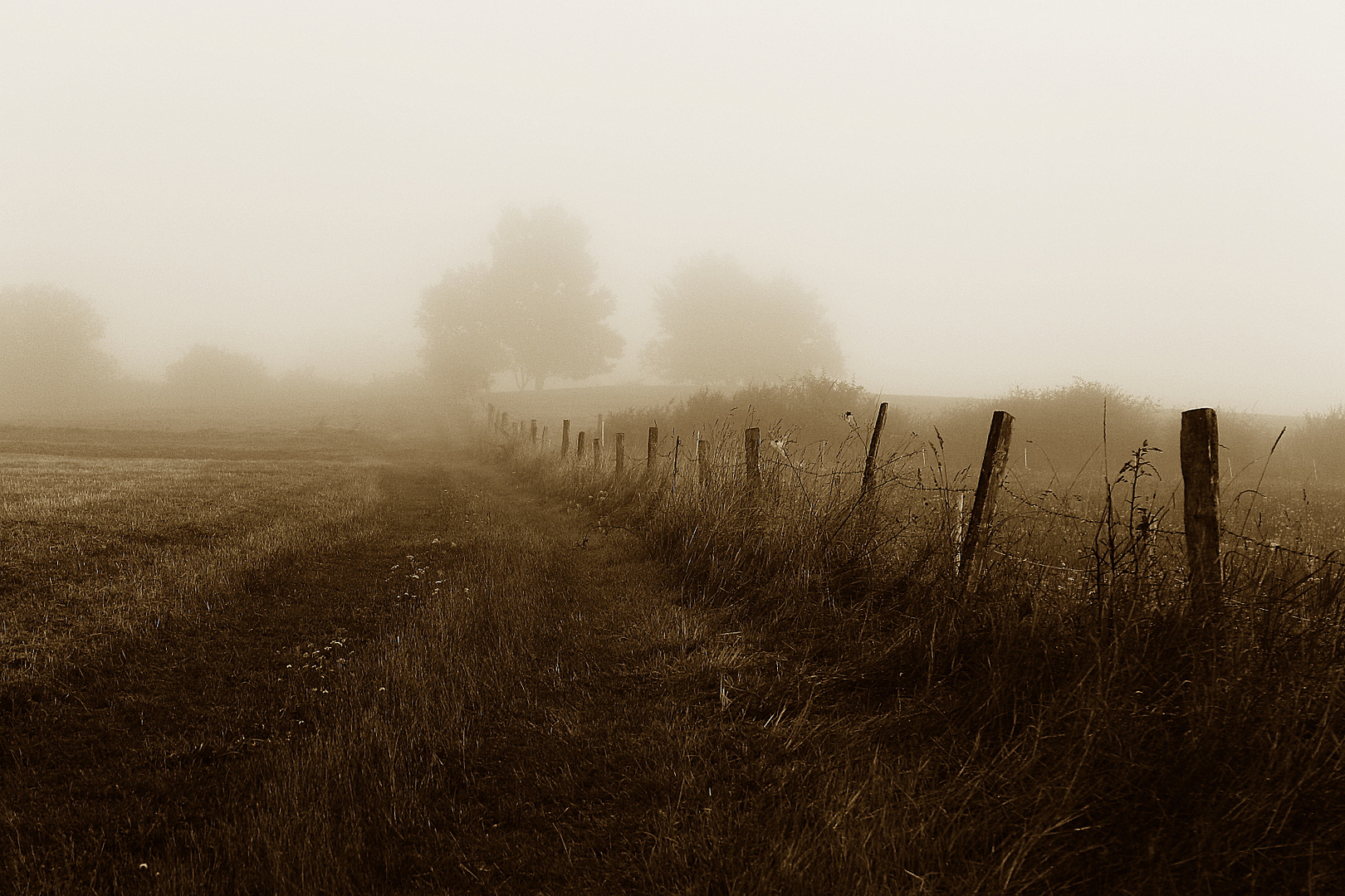 September-Nebel