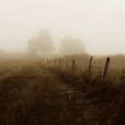 September-Nebel
