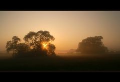 September - Nebel - Morgen