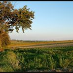 September - Spaziergang