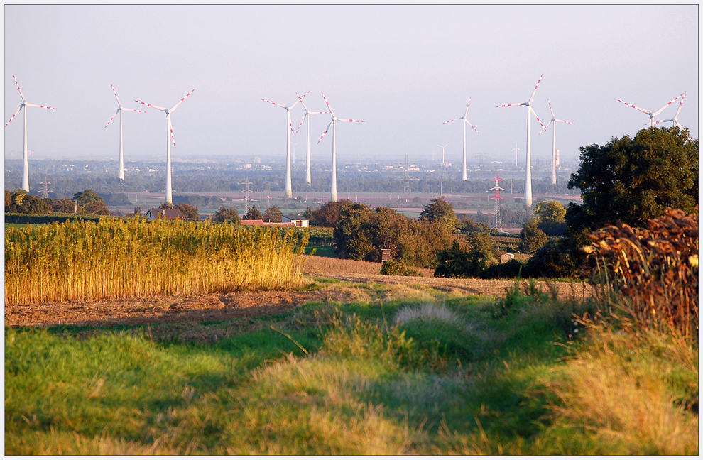 September - Spaziergang ~2