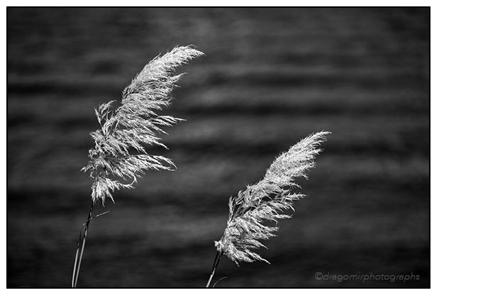 September Wind