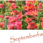 Septemberfarben 20