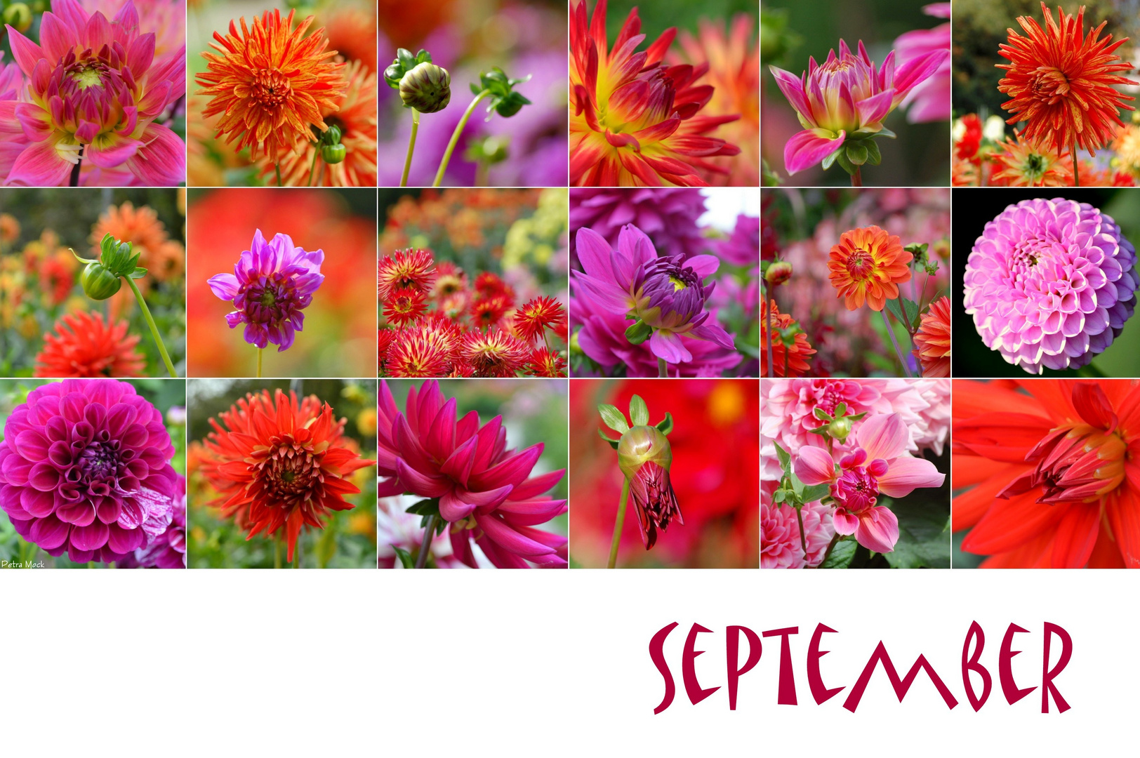 Septemberfarben