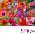 Septemberfarben