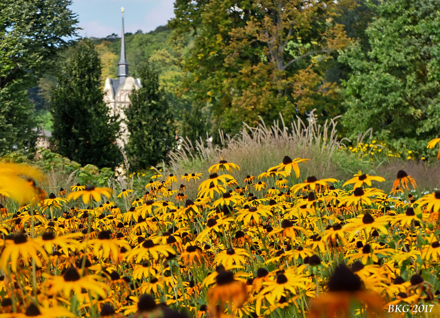 Septemberherbstfarben - Hofwiesenpark Gera II