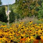 Septemberherbstfarben - Hofwiesenpark Gera II