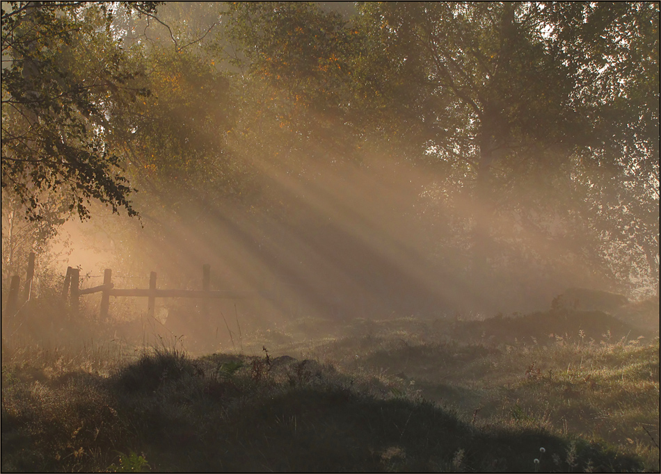 Septemberlicht