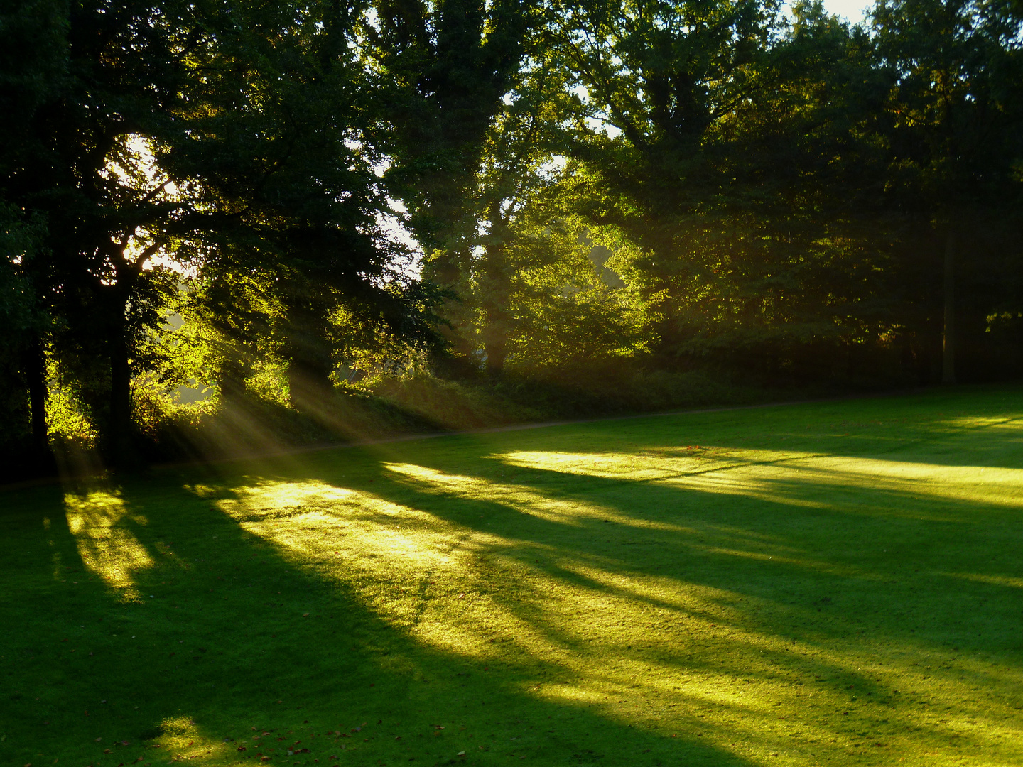 Septemberlicht