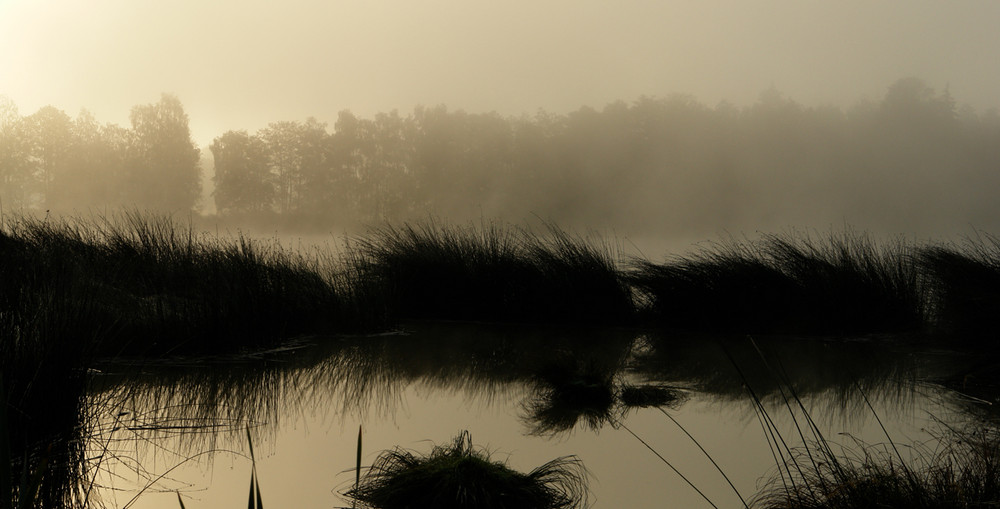 septembermorgen