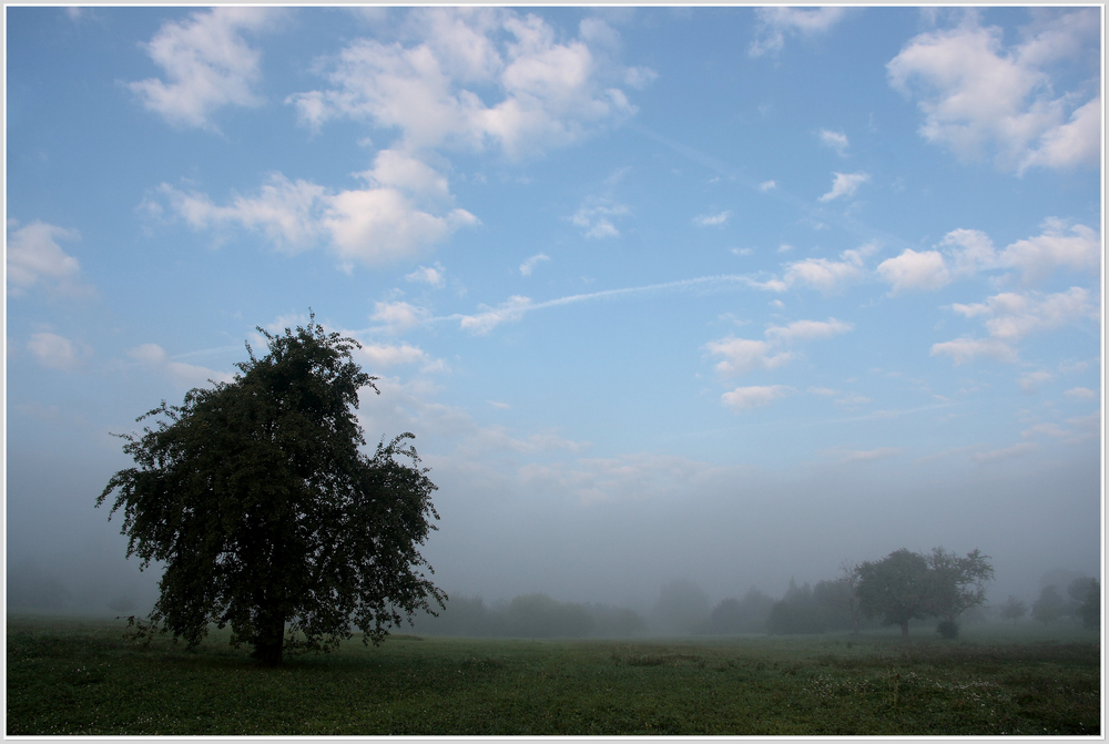 Septembermorgen