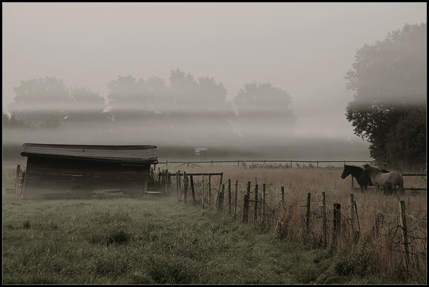 Septembermorgen