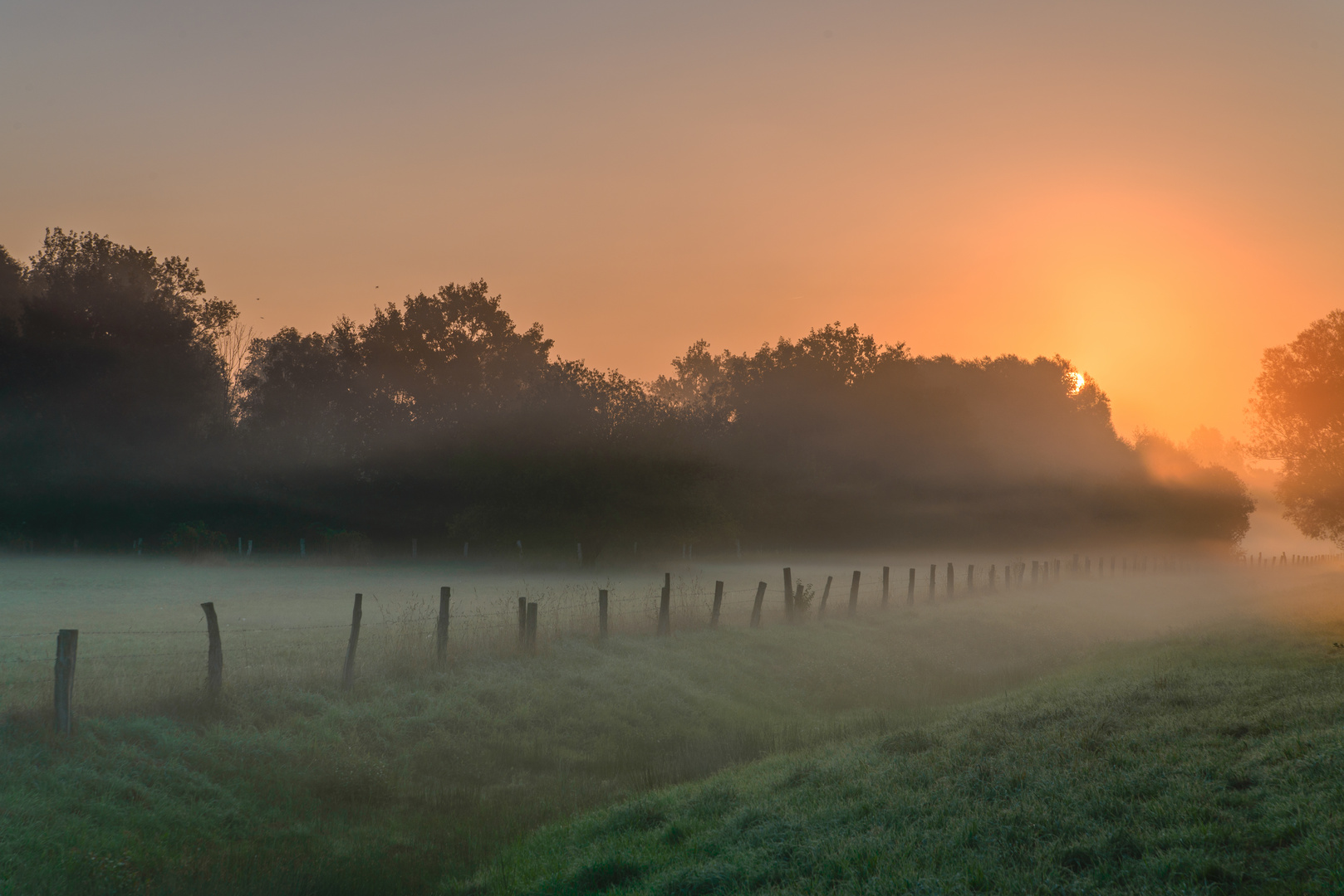 [ Septembermorgen 2 ]