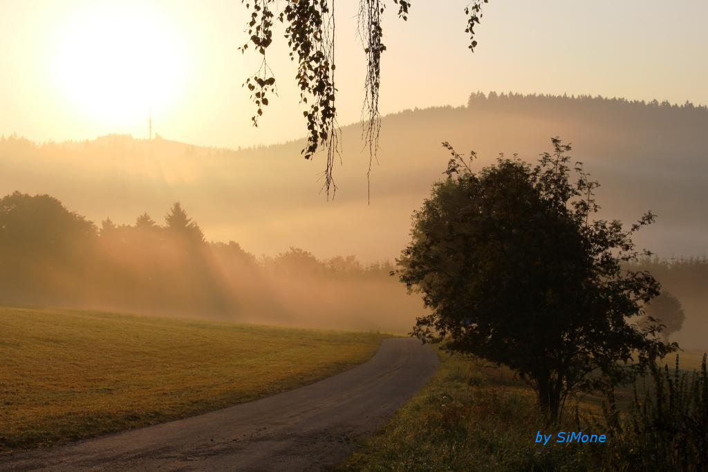 Septembermorgen