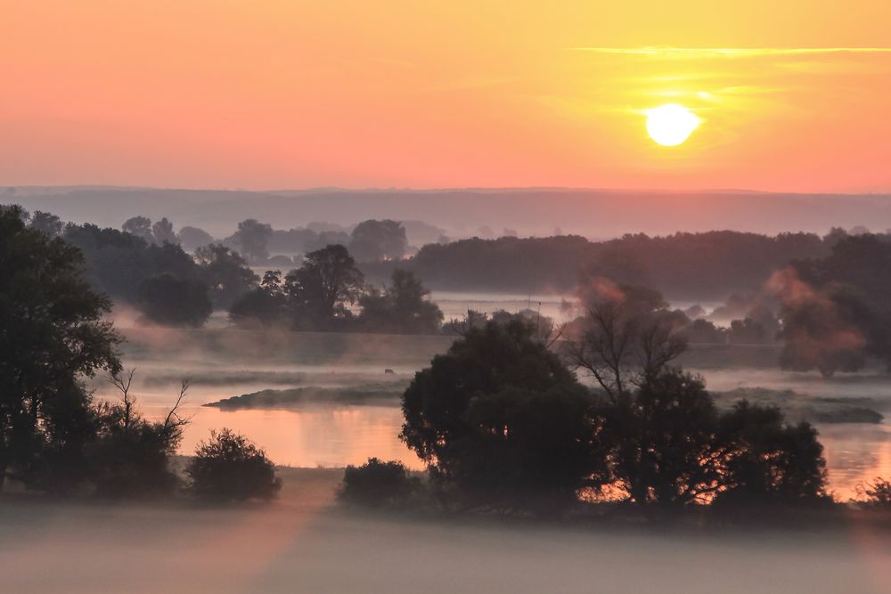 Septembermorgen