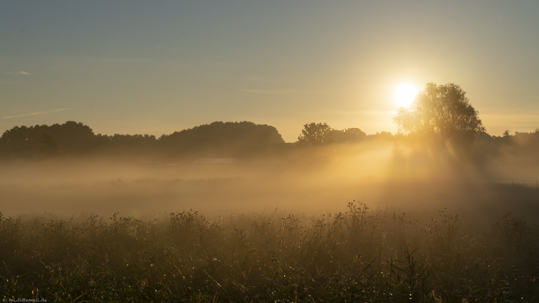 Septembermorgen 4