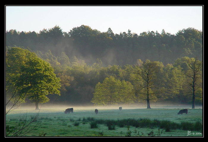 Septembermorgen