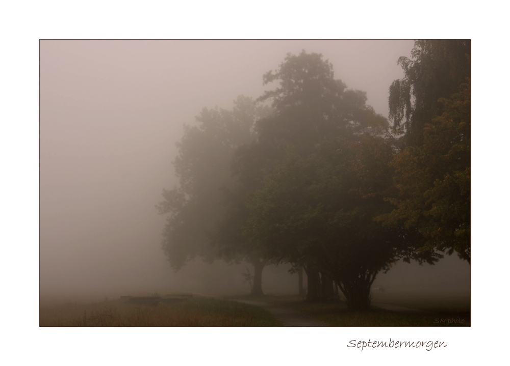 Septembermorgen