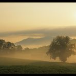 Septembermorgen