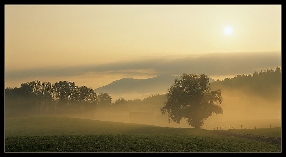 Septembermorgen