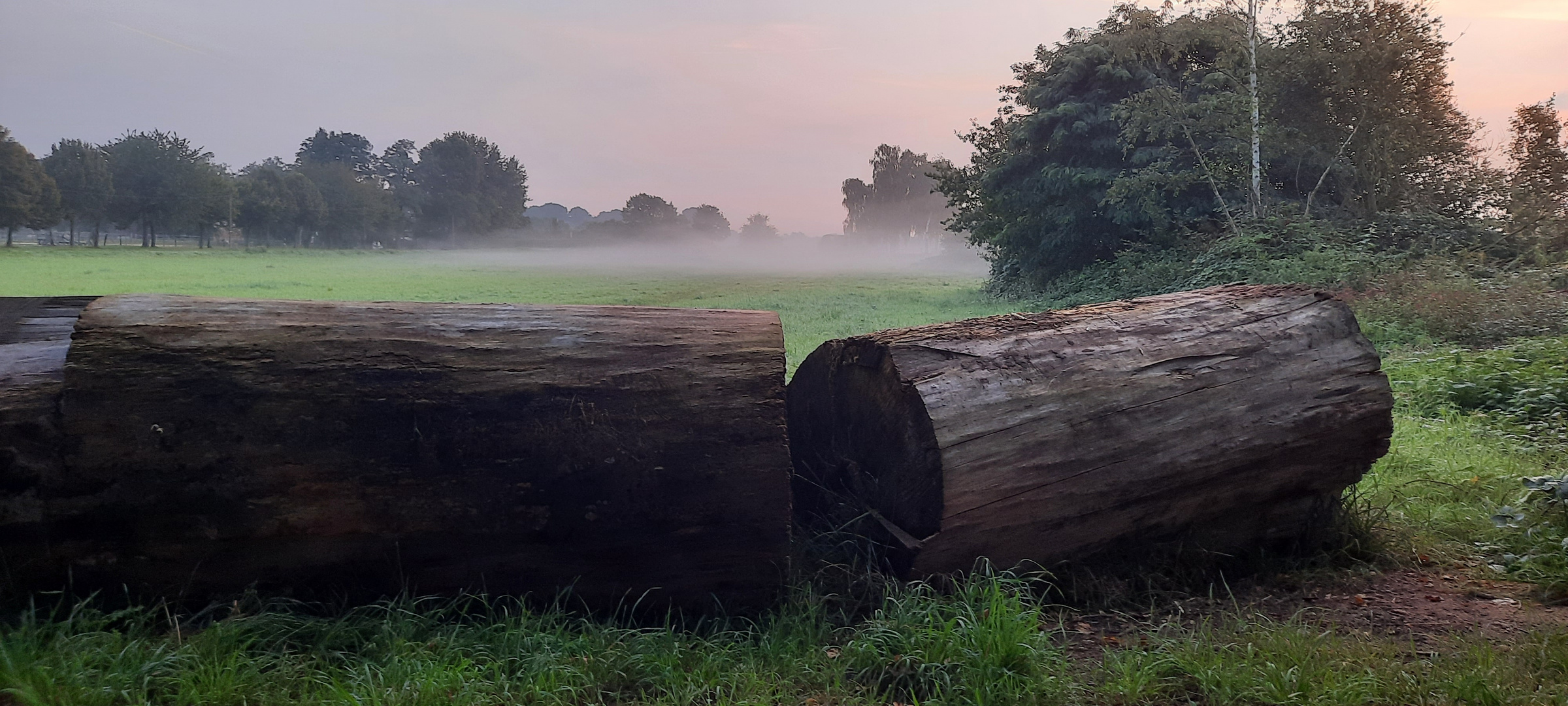 Septembermorgen