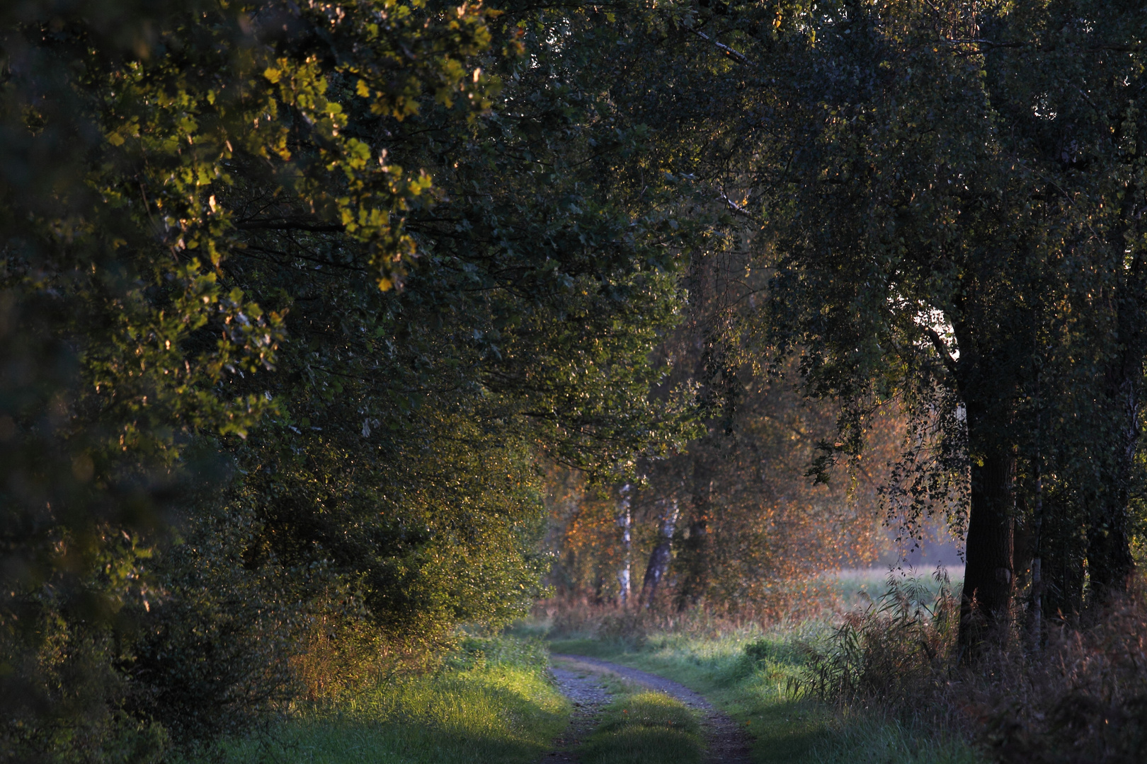 Septembermorgen