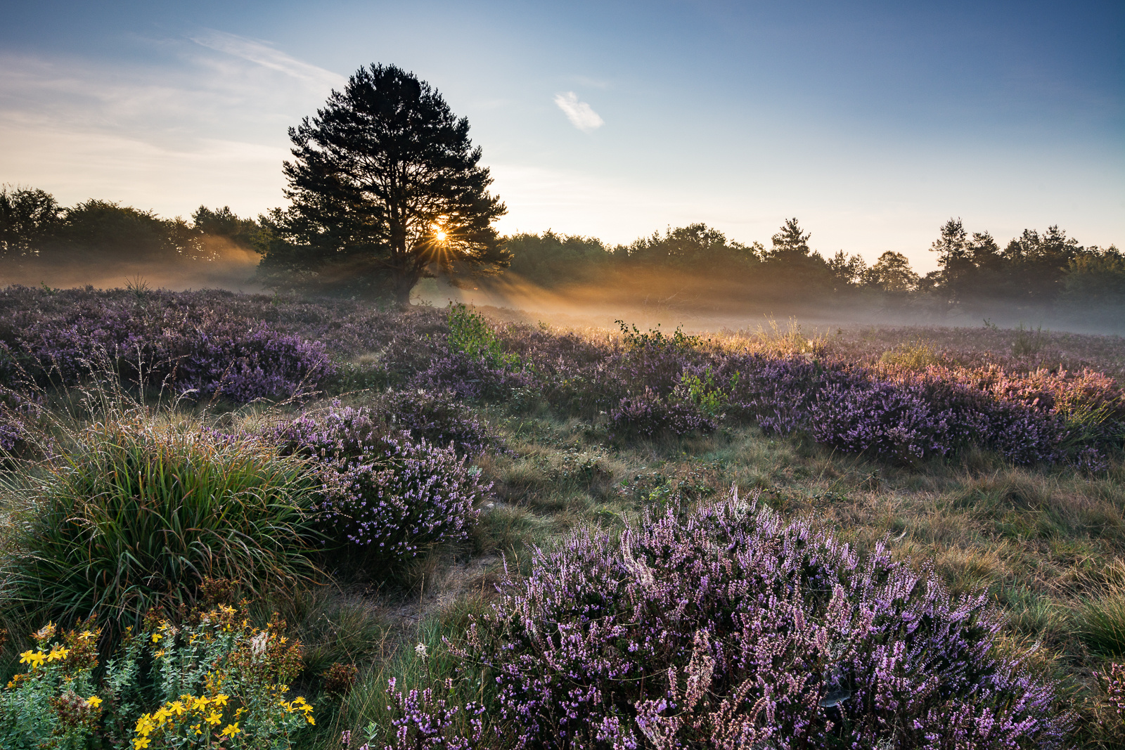 Septembermorgen